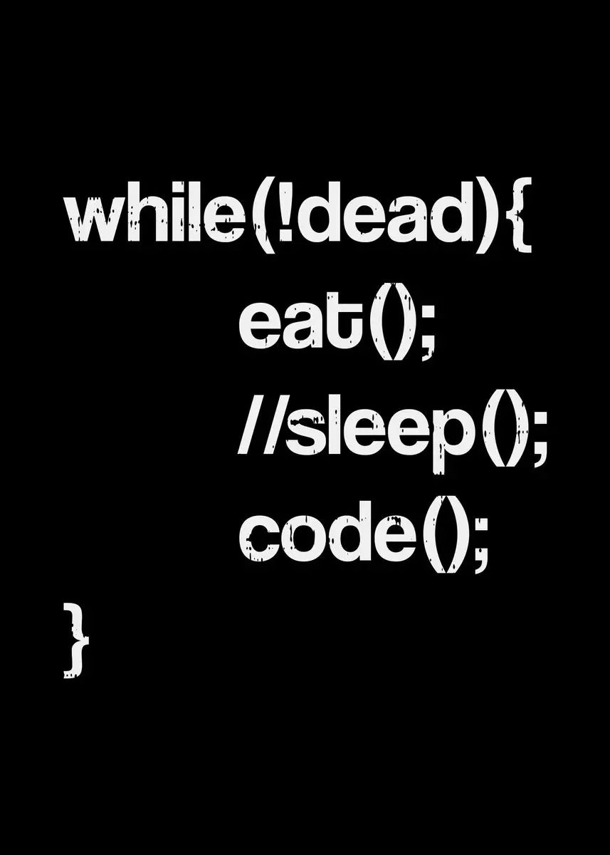 "Code Life Series" – Programmer Canvas Wall Art Collection
