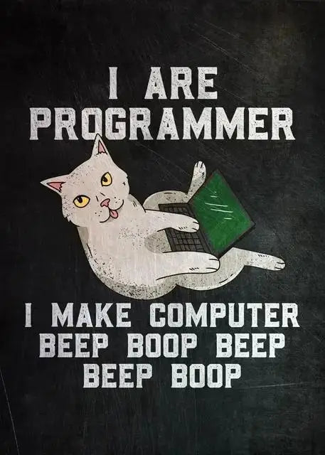 Code & Chaos: Funny Hacking Quote Canvas Collection
